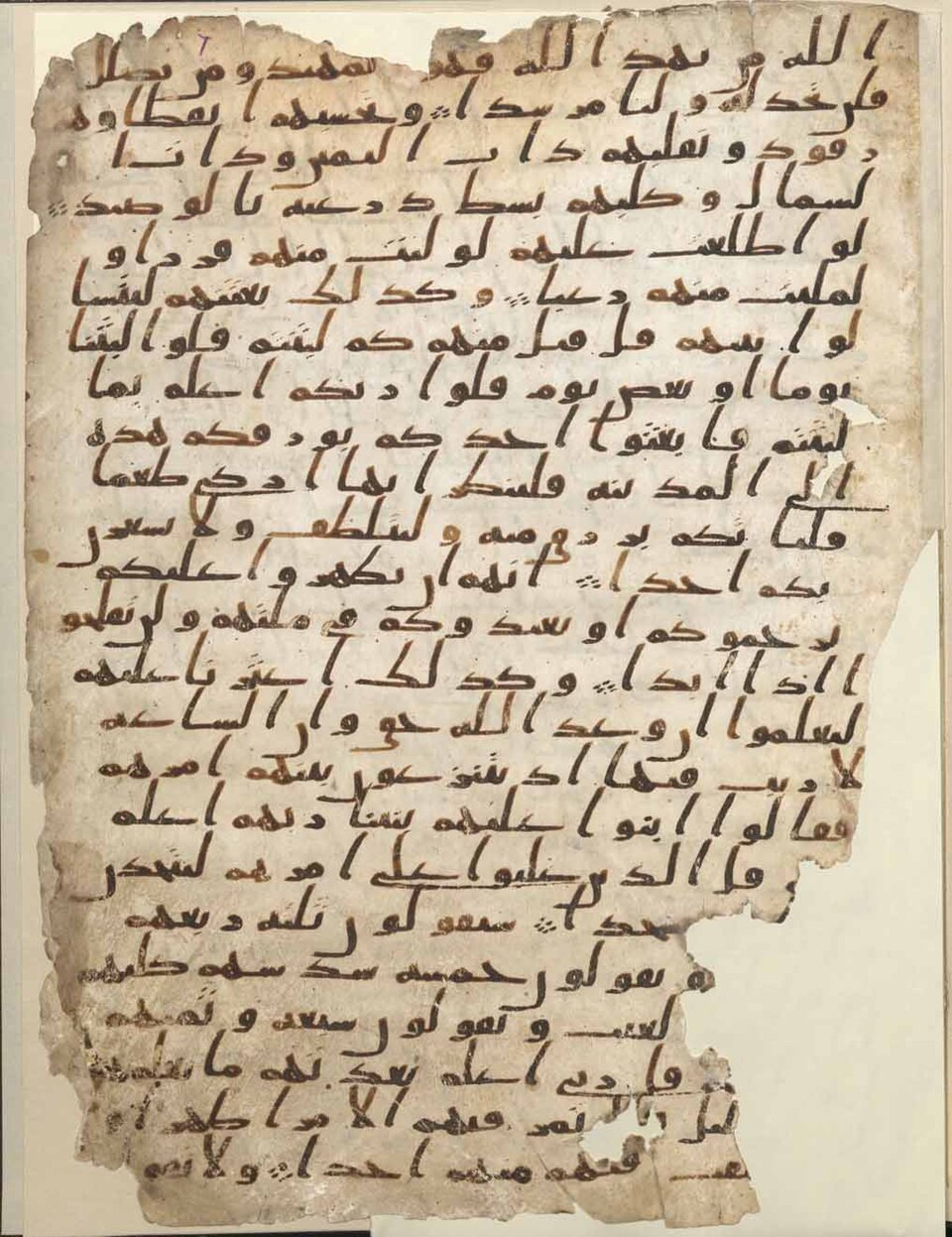 Feuillet de parchemin couvert d'une écriture arabe ancienne, penchée, sans points diacritiques systématiques